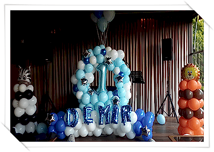 1 Yaş doğum Günü organizasyonu