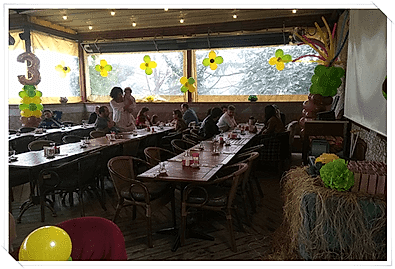 Doğum Günü kukla Gösterisi