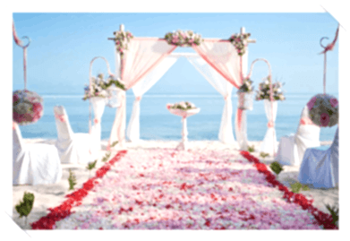 düğün organizasyonu