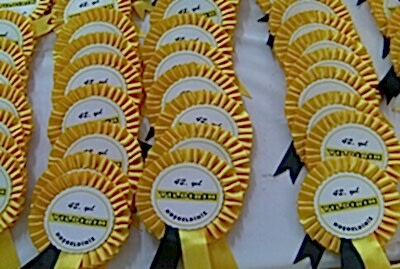 Açılış Yaka Kartı Kurdelalı Yaka Kartı Rozet