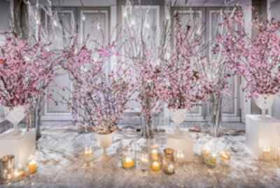 Konser ve Festival Organizasyonu çiçek Süsleme