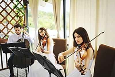 Bayi Toplantısı trio karşılama müziği