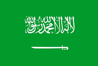 Profesyonel Seslendirme Hizmetleri 