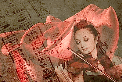 Sevgililer Günü Kemancı temini