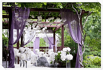 Kına Dekoru Kına KOstümü Bayan Dj