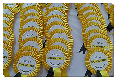 Kongre Seminer Organizasyonu