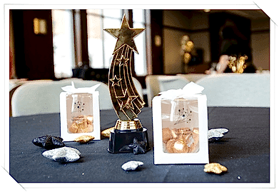 Ödül Töreni Organizasyonu