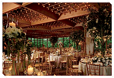 Ödül Töreni Organizasyonu