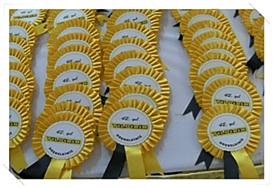 Promosyon Çeşitleri