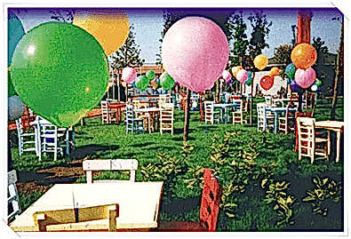 Şirket Pikniği Organizasyonu Piknik Konsepti belirleme