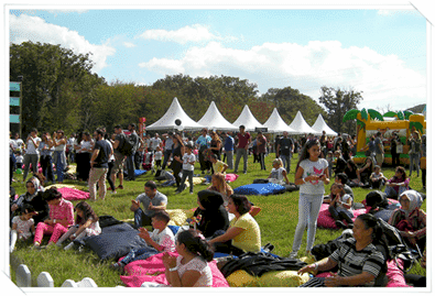 Şirket Pikniği Organizasyonu