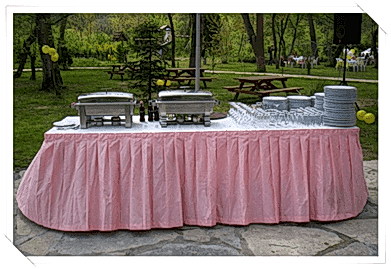 Şirket Pikniği Organizasyonu