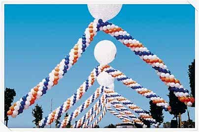 Temel Atma Organizasyonu