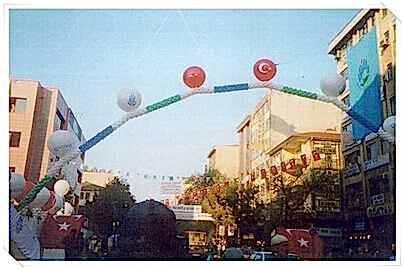 Temel Atma Organizasyonu