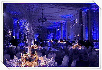 Ürün Lansmanı Organizasyonu